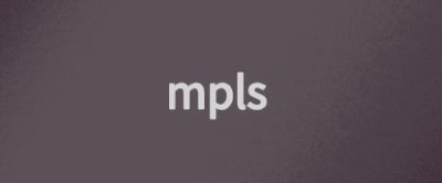 mpls中ler和lsr的主要区别