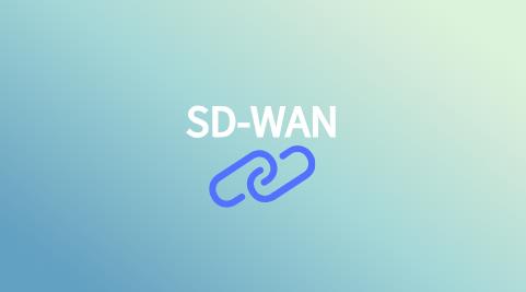 SD-WAN技术体系结构
