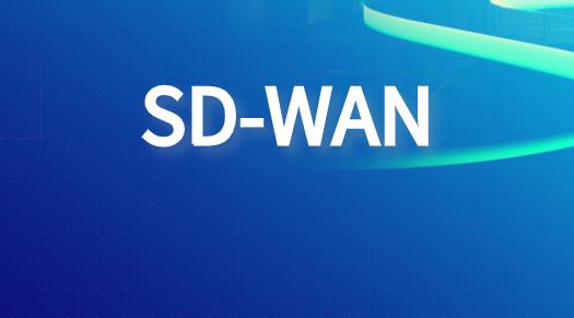 sdwan证券行业网络方案