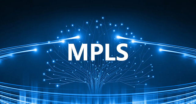 MPLS 网络是否支持多厂商设备互通？