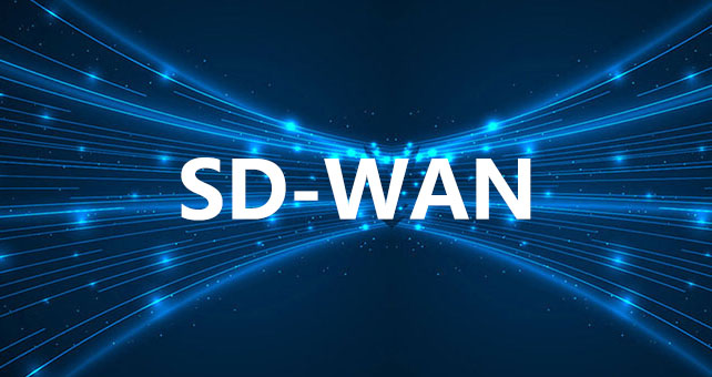 专线是否允许用户接入SD‑WAN设备？