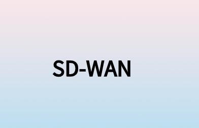 一文秒懂SD-WAN/网络访问