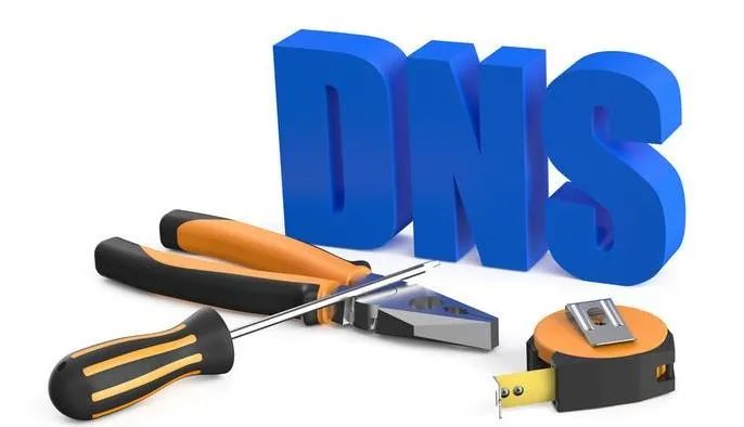 dns服务器设置的目的是什么？