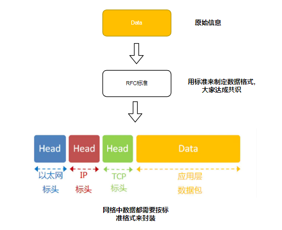 计算机网络硬核指南|网络设计核心思想