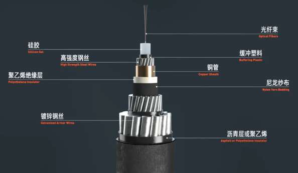 海底光缆结构图片