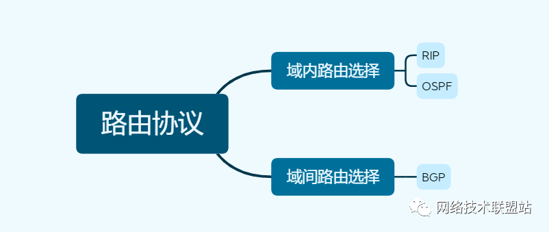 动态路由协议：OSPF、RIP、BGP比较