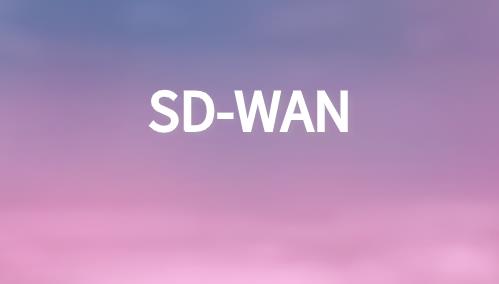 sdwan价格跟哪些方面有关系
