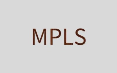 mpls基础知识常用名词解释