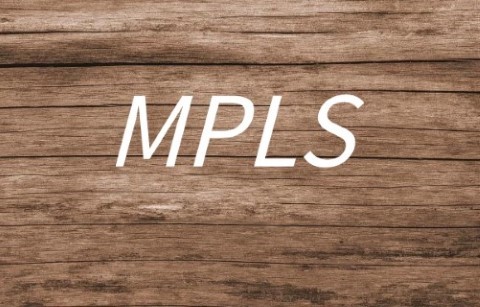 mpls有哪些常见的专业术语？